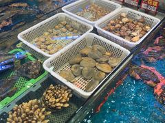 -东江海鲜大排档·潮汕菜·砂锅粥