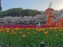 -苏州上方山国家森林公园