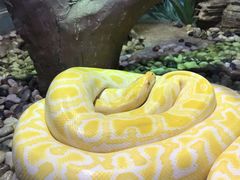 -石家庄市动物园