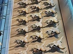 -大庆市博物馆