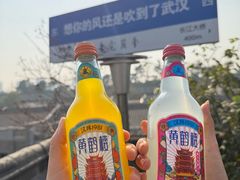 -老宅藕香·湖北菜·非遗藕汤·武昌鱼(黄鹤楼景观店)
