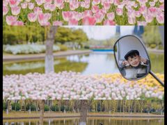 -上海鲜花港
