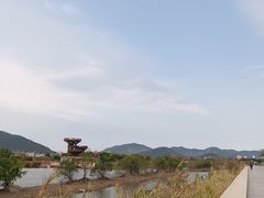 -芒洲湿地公园