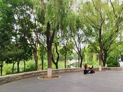 -大兴滨河森林公园