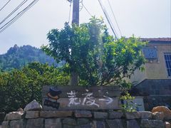 -荒度咖啡(北九水店)