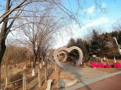 -莫子山公园