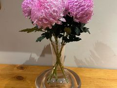 -参差咖啡(水果湖公园店)