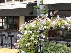 -转山咖啡(松柏社区店)