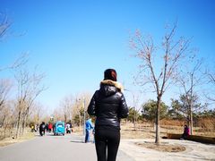-东郊湿地公园
