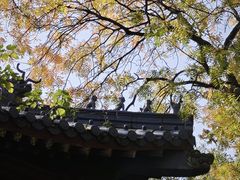 -灵谷景区