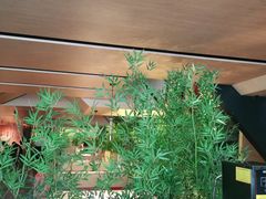 -初蓉丨遇见新川菜(亲贤街荣耀店)