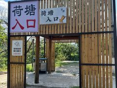 -荷塘味道(水长城店)