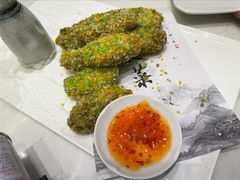 -丁老爷子苏香圆