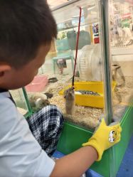 -哈姆雷斯(王府井百货大楼店)