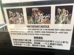 -TrueLove @ Neverland (Husky Cafe)
