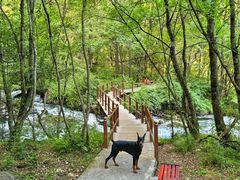 -叠溪松坪沟景区