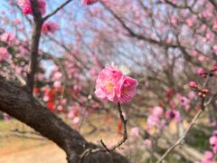 -开福禅寺