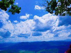 -天女山森林公园