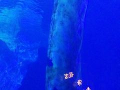 -临沂极地海洋王国