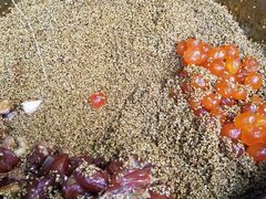 -召稼楼永茂昌粽子大王