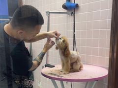-FAELING PETS美天灵宠物(富力广场店)