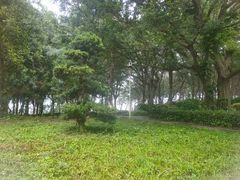 -宋井风景区