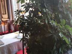 -惠丰堂饭庄·烤鸭·京味菜(西北旺·唐家岭店)