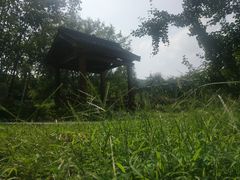 -龙寺生态园
