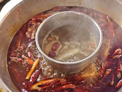 纯牛油鸳鸯锅底-金鼎雪山牦牛杂火锅(理县总店)