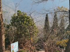 -青岛崂山太清宫