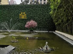 -锦江都城经典达华静安寺酒店·餐厅