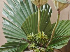 -万象影城(杭州万象城IMAX激光店)