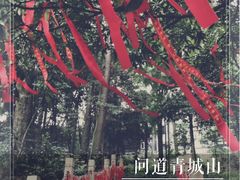 -青城山