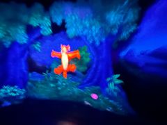 -小熊维尼历险之旅