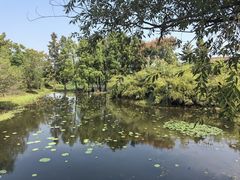 -长广溪湿地公园