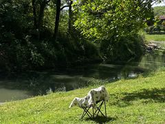 -两河城市森林公园