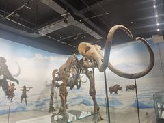 -辽宁古生物博物馆