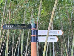 -南京市无想山景区