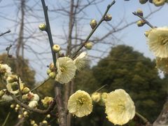 -汉水公园