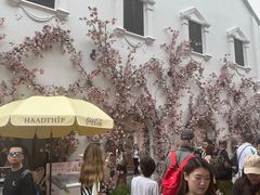 -普吉镇