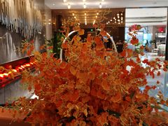 -湖锦酒楼·旗舰店(三阳总店)