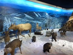 -呼伦贝尔民族博物馆