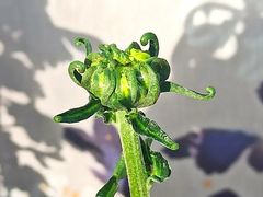 -共青国家森林公园-售票处