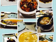 -圆苑(金茂店)
