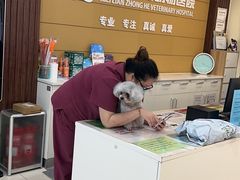 -美联众合动物医院·24h京西诊疗中心
