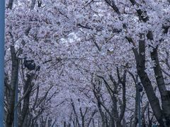 -龙美术馆(西岸馆)