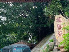 -深圳野生动物园
