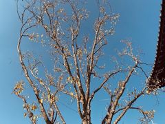 -祥源·阜阳生态乐园