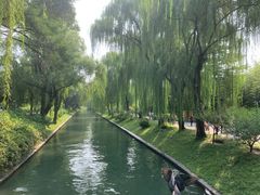 -皇家御河游(紫御湾码头)