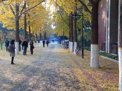 -北京交通大学学活食堂